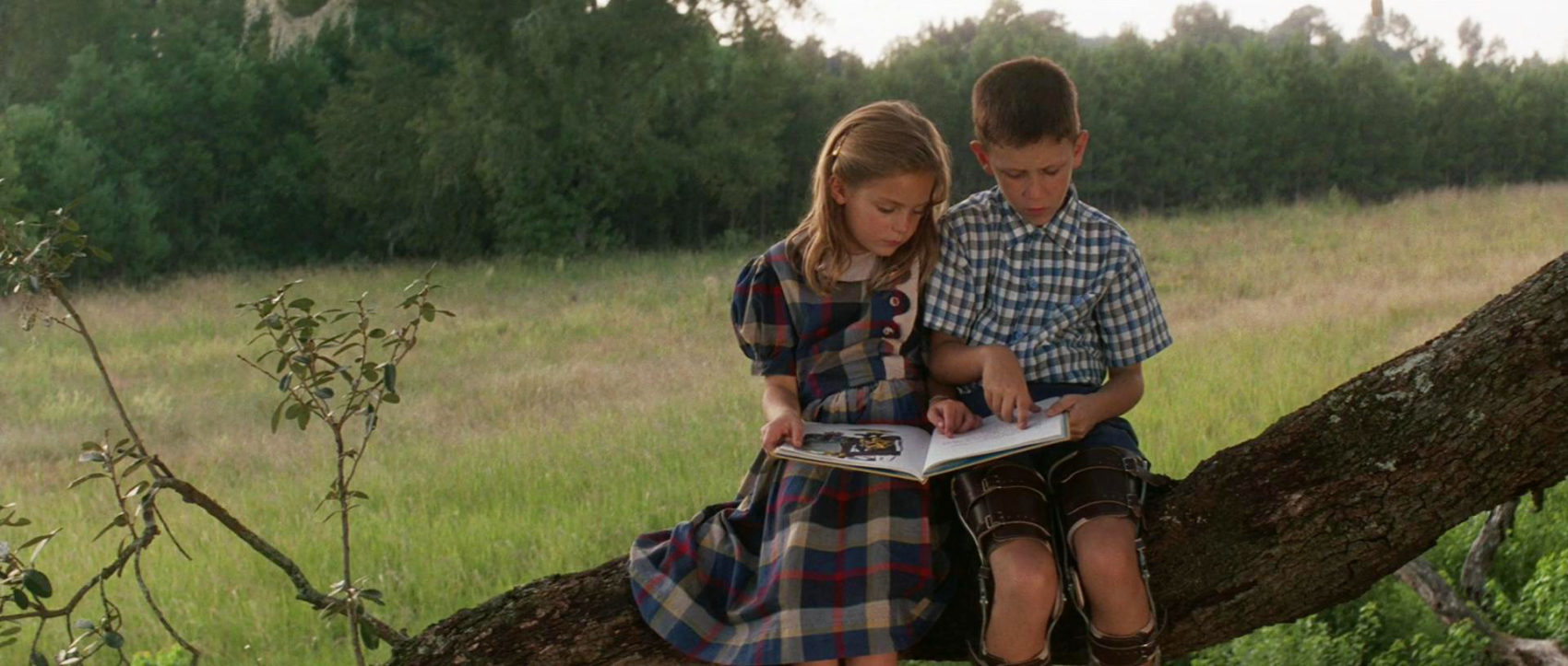 Why "Forrest Gump" Is The Actual Best Movie, Ever. - StoryDriven